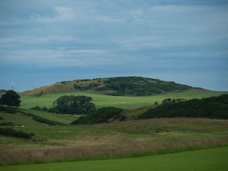 Image of lowland farm with animals grazing on the hills and wind turbines in the distance.