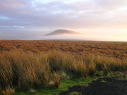 Langholm Moor