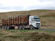 A lorry transporting timber across Eskdalemuir.