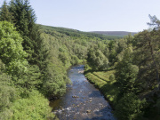 Tree-lined riverbank on Beldorney Estate. Courtesy Highlands Rewilding.